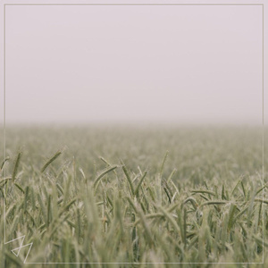 后λ式动态图100期
